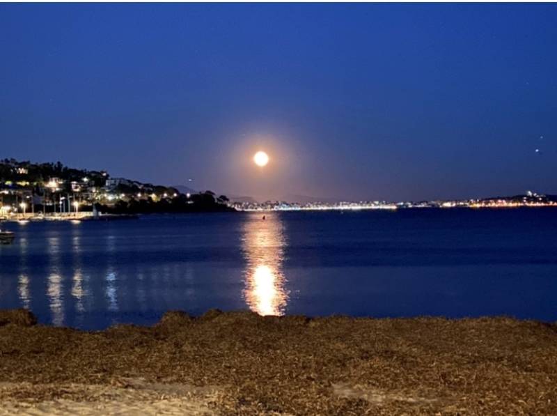 Marina and water sports centre CANNES PORT DU MOURE ROUGE